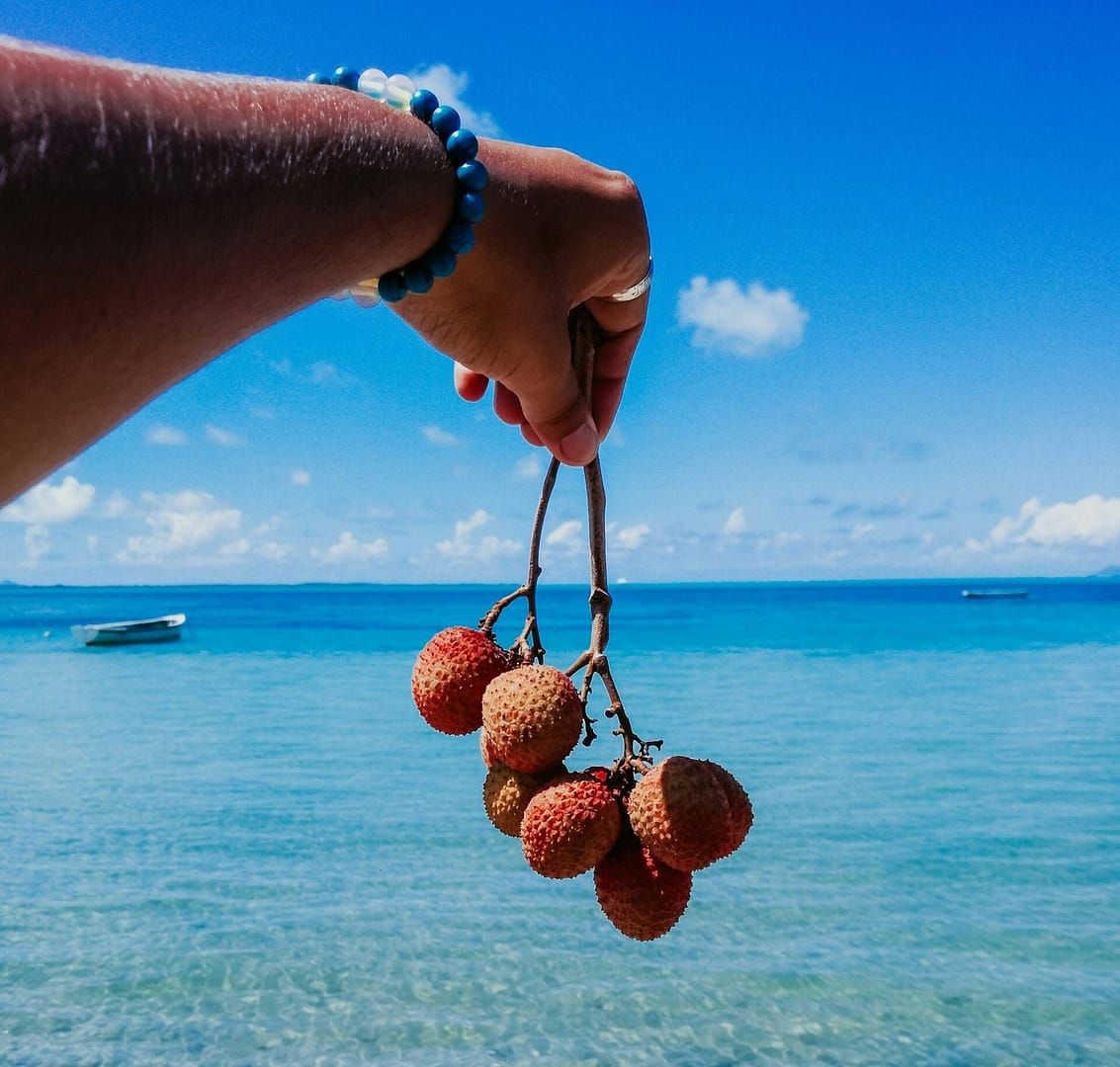 photo-1621341349748-d3af2b8ca066