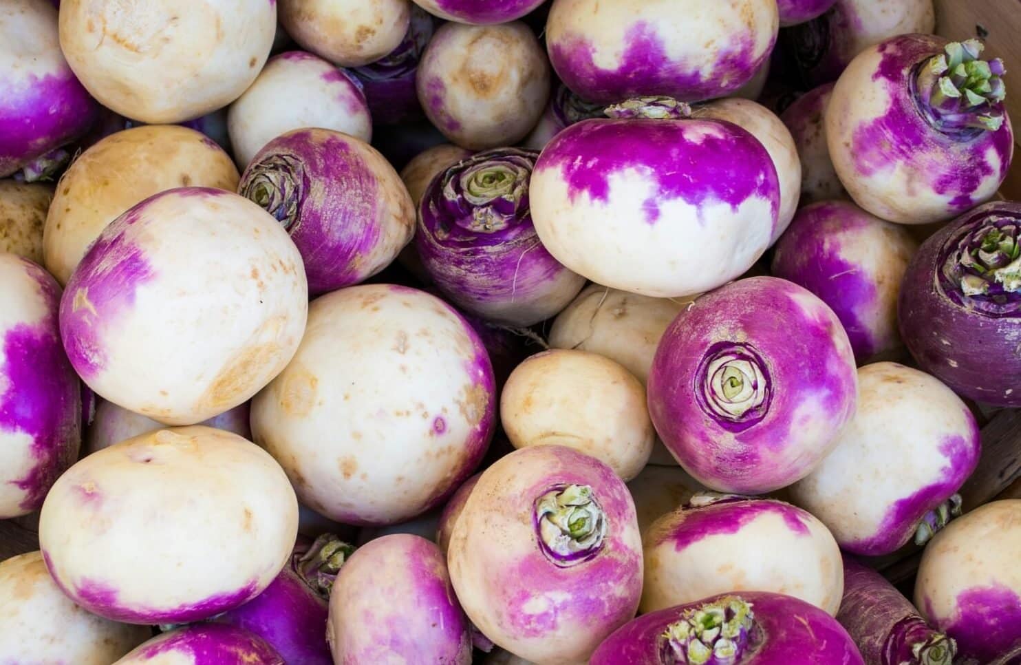 photo-1555447740-03e40562af94