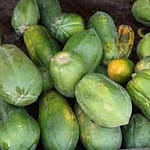 images-9-ALpbyzvqoQcXW289