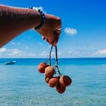 photo-1621341349748-d3af2b8ca066