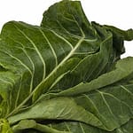 vegetables-vitamins-diet-food-d95rGO3JQes6NqQ1