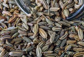 images-2-AGBvl1g8Onh1ke7p